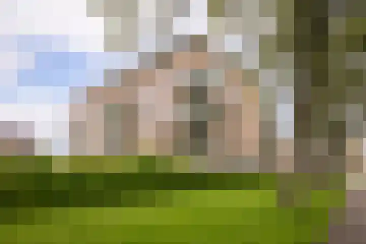 Het Voert 6 Grootebroek thumbnail 38