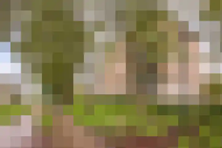 Het Voert 6 Grootebroek thumbnail 39