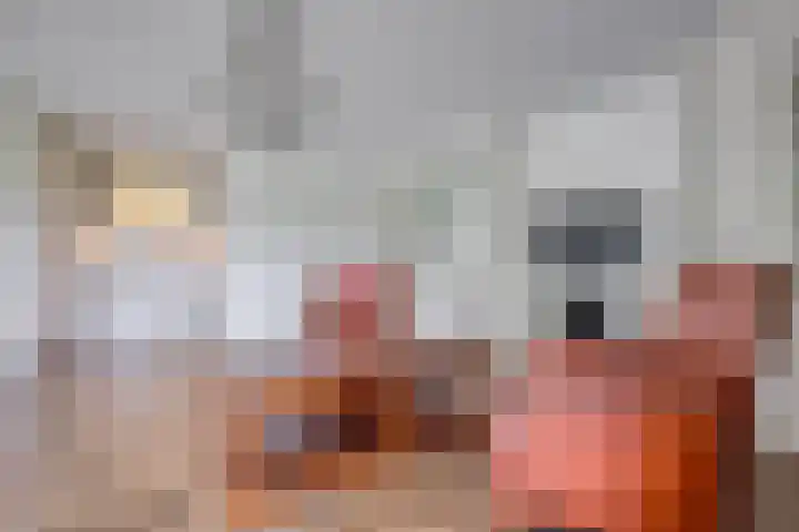 Het Voert 6 Grootebroek thumbnail 4