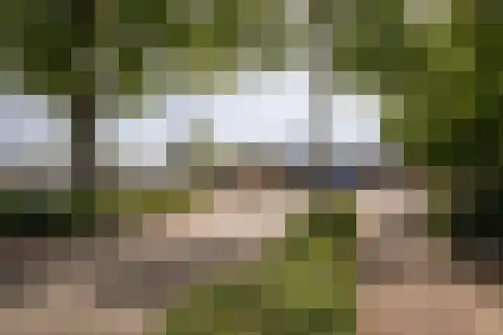 Het Voert 6 Grootebroek thumbnail 42