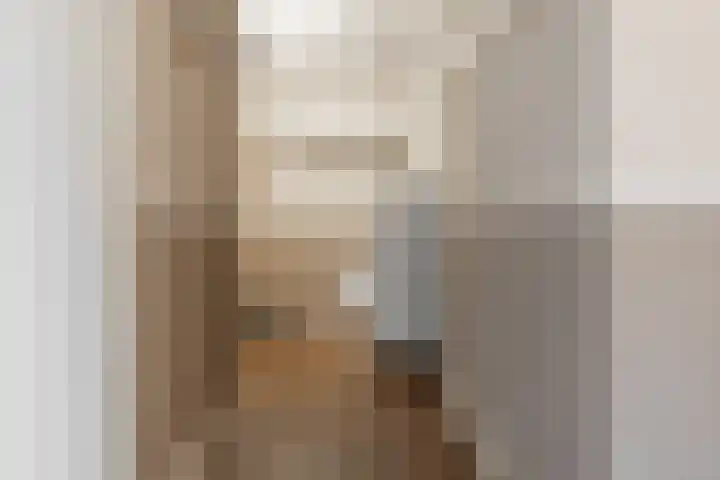 Het Voert 6 Grootebroek thumbnail 46