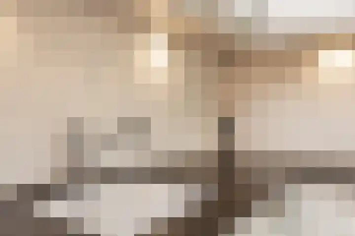 Het Voert 6 Grootebroek thumbnail 48