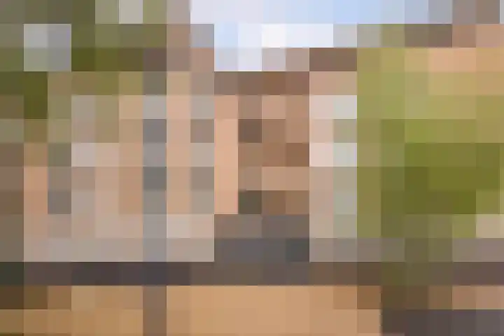 Het Voert 6 Grootebroek thumbnail 5