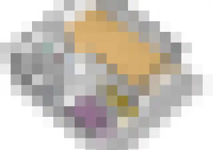 Het Voert 6 Grootebroek thumbnail 53