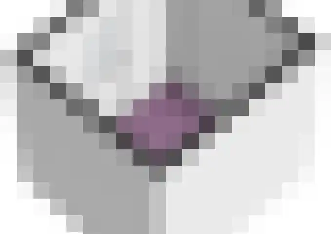 Het Voert 6 Grootebroek thumbnail 55