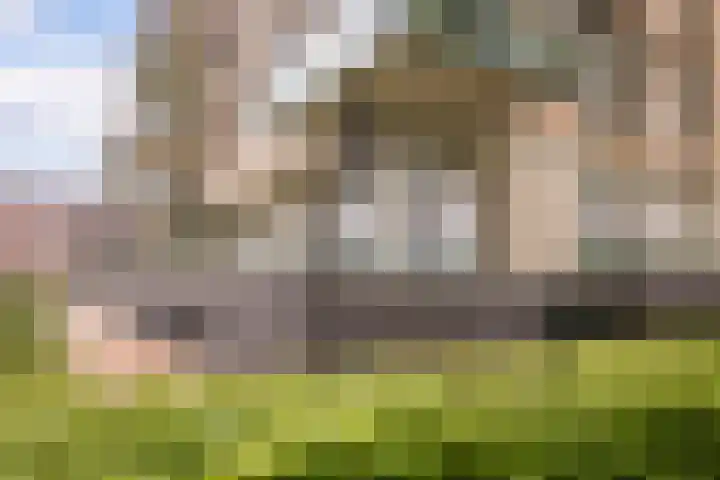 Het Voert 6 Grootebroek thumbnail 8