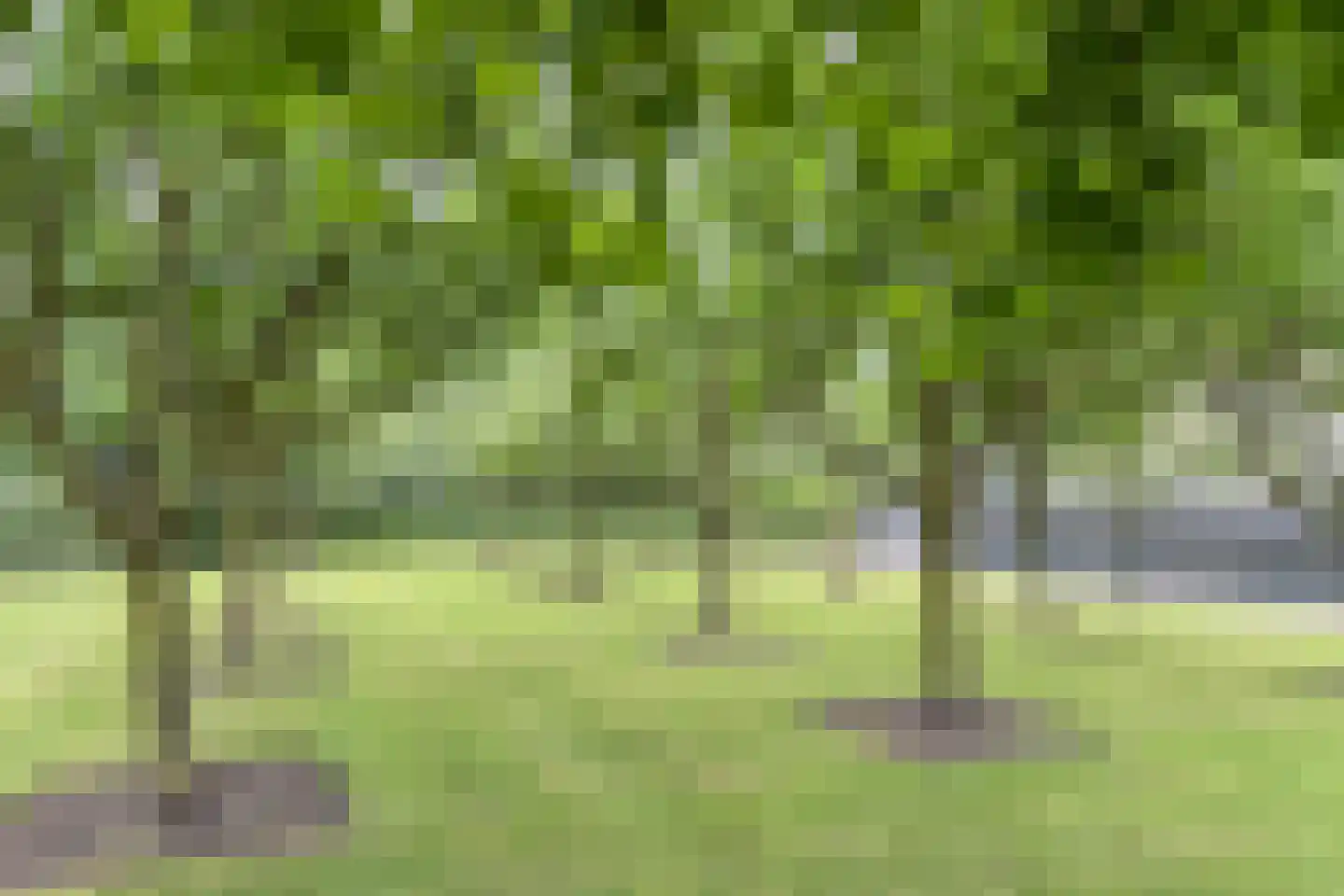 Het Voert 62 Grootebroek thumbnail 56