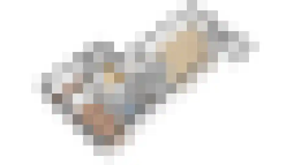 Het Voert 62 Grootebroek thumbnail 67