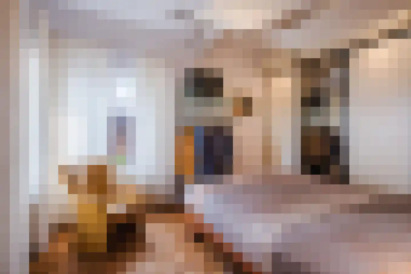 Het Vonderke 14 Hoogeloon thumbnail 21