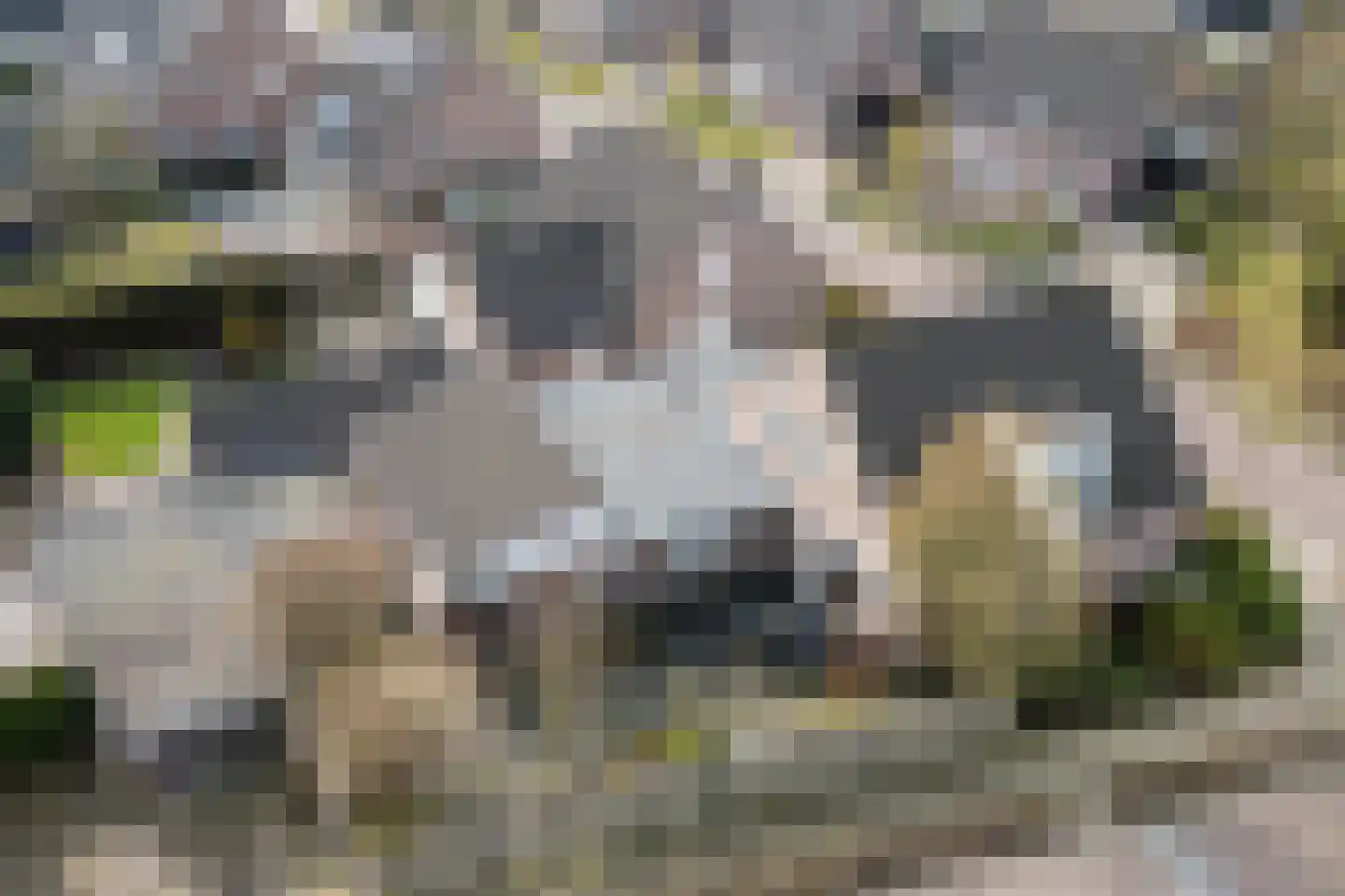 Het Vonderke 14 Hoogeloon thumbnail 42