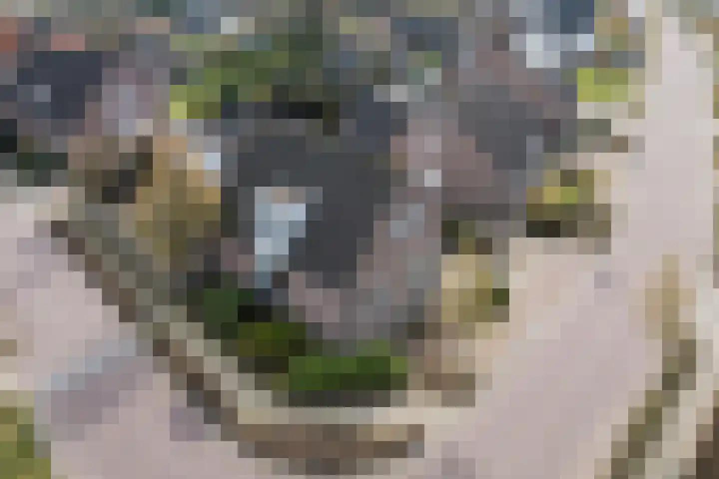Het Vonderke 14 Hoogeloon thumbnail 5