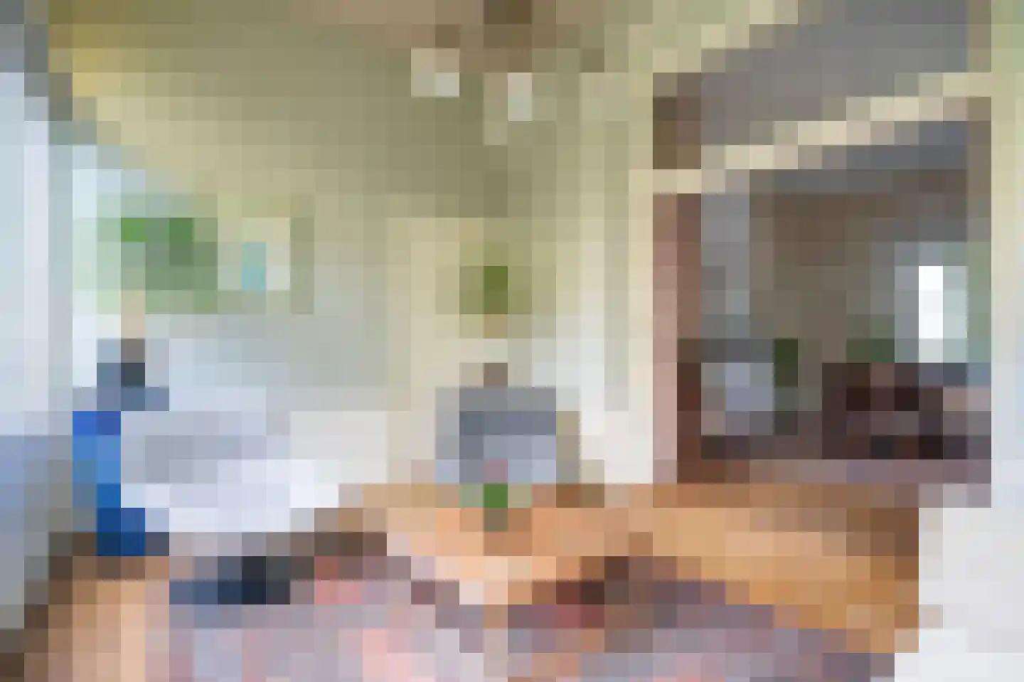 Het Voorburg 11 Culemborg thumbnail 15