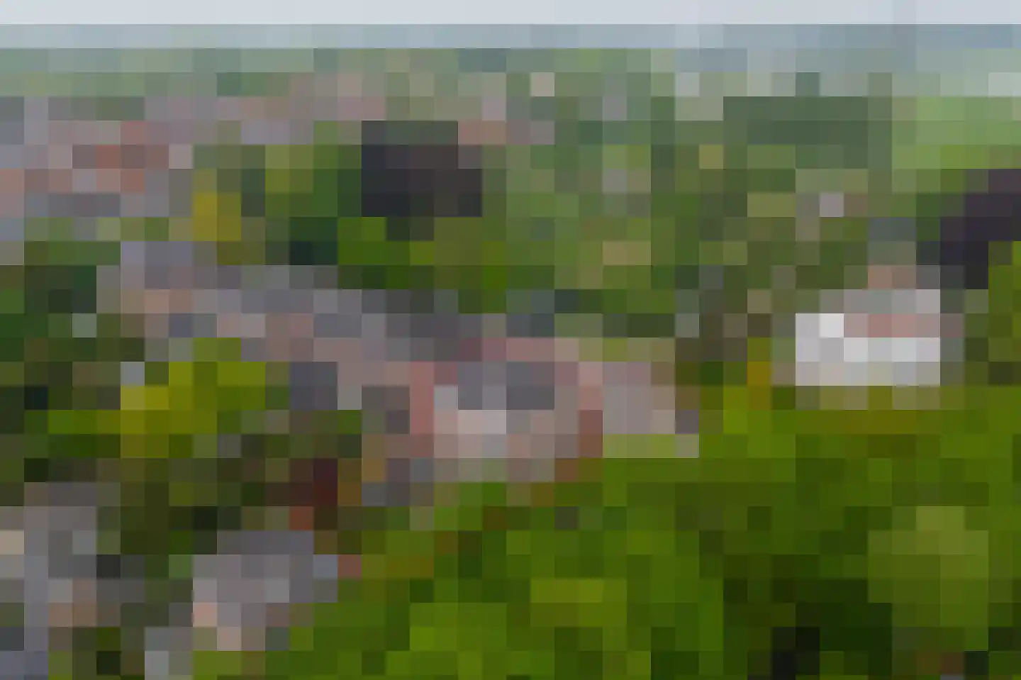 Het Voorburg 11 Culemborg thumbnail 4