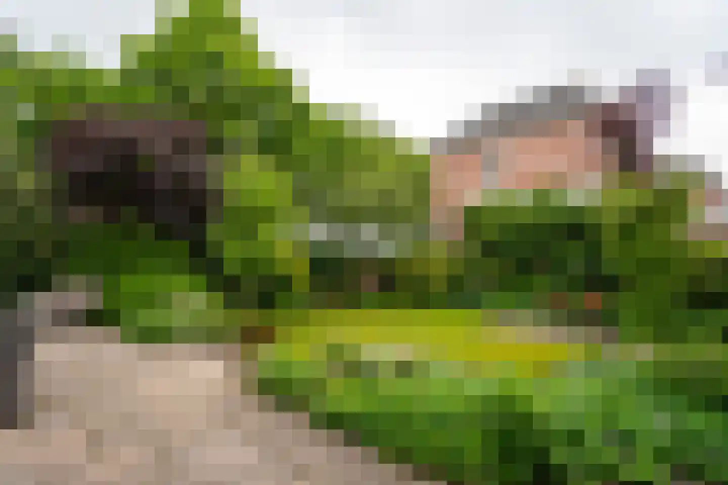 Het Voorburg 11 Culemborg thumbnail 5