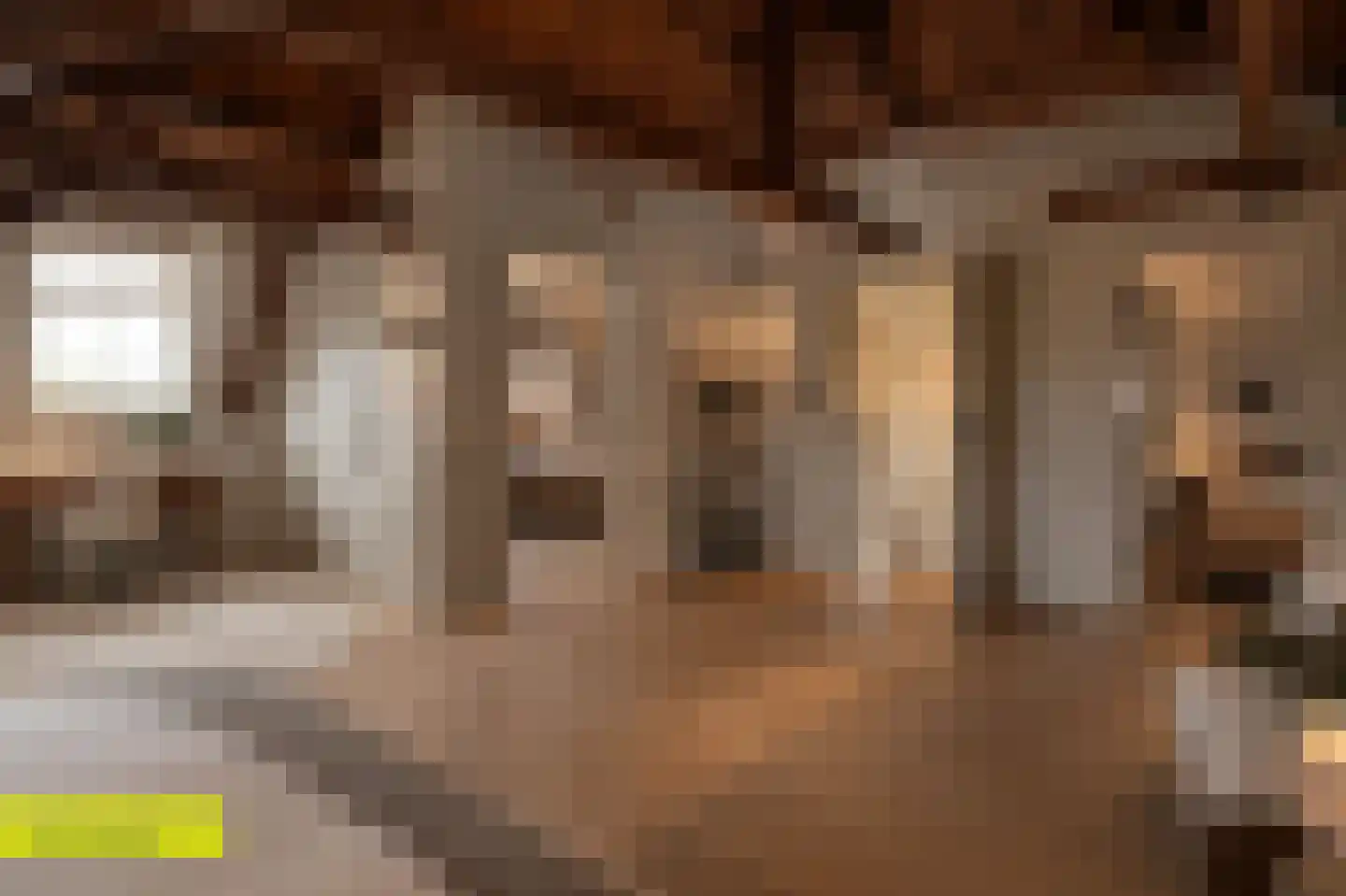 Het Voorburg 11 Culemborg thumbnail 56