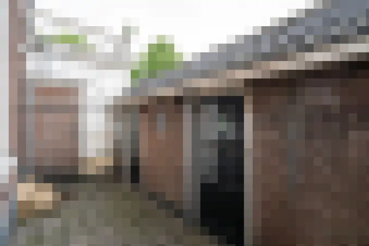 Het Voorburg 11 Culemborg thumbnail 64