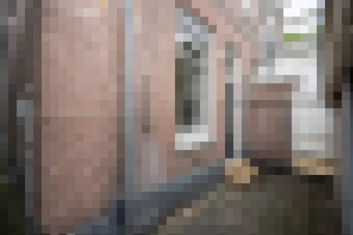 Het Voorburg 11 Culemborg thumbnail 65