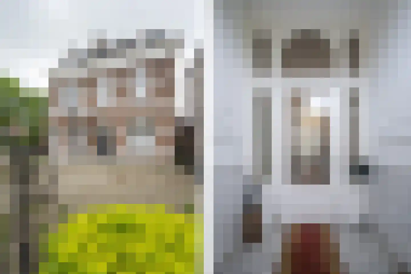 Het Voorburg 11 Culemborg thumbnail 71