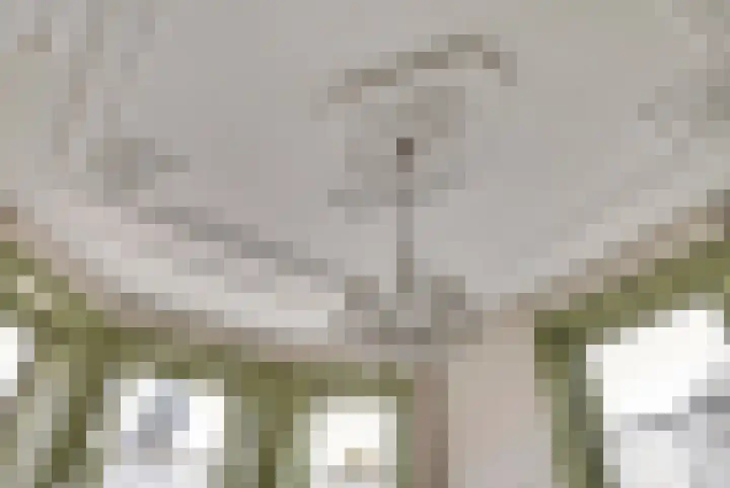 Het Voorburg 11 Culemborg thumbnail 9