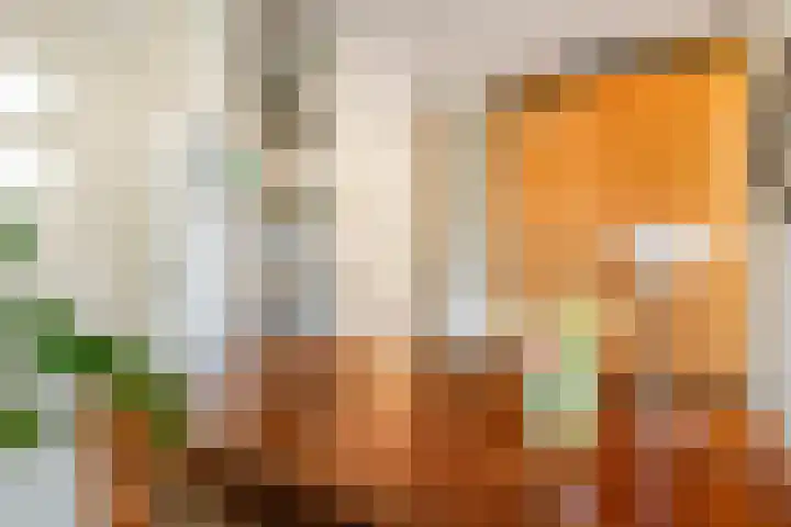 Het Voorburg 2 Culemborg thumbnail 14