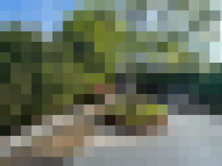 Het Voorburg 2 Culemborg thumbnail 17