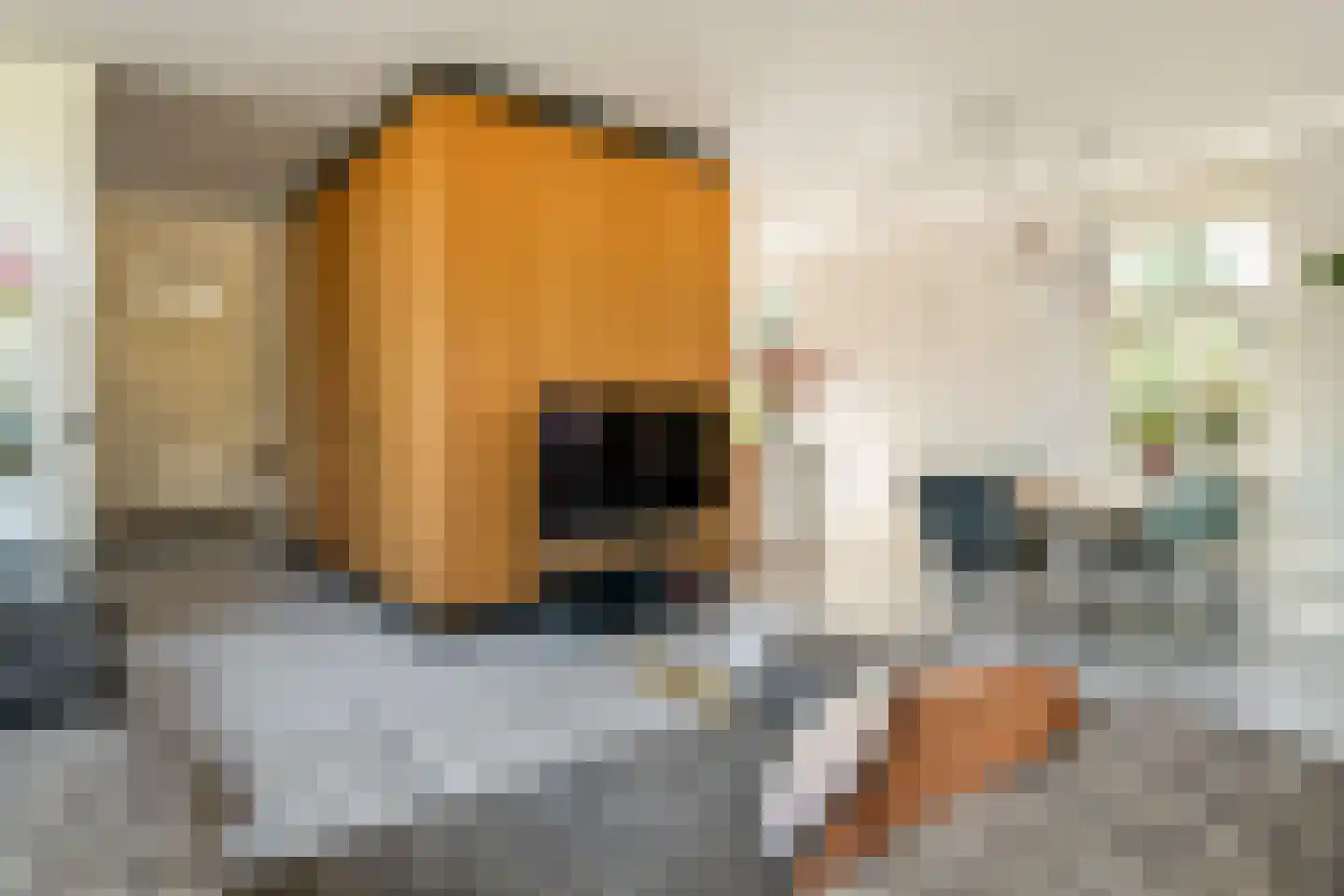 Het Voorburg 2 Culemborg thumbnail 19