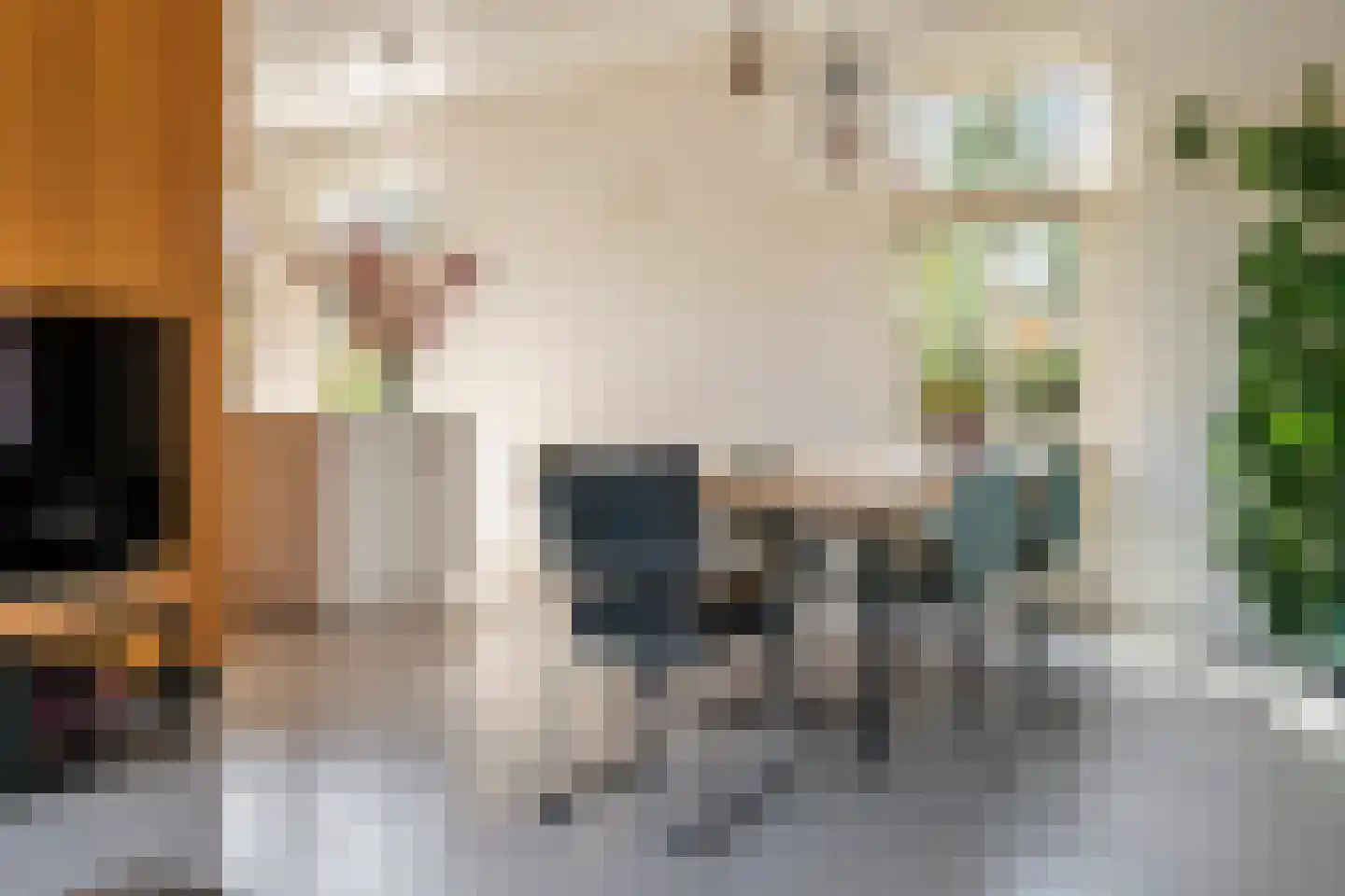 Het Voorburg 2 Culemborg thumbnail 20