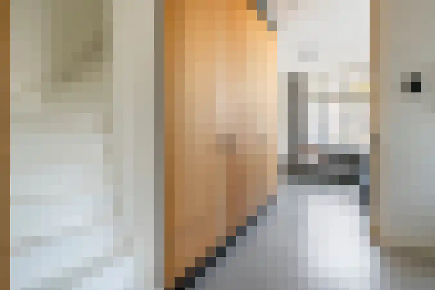 Het Voorburg 2 Culemborg thumbnail 29