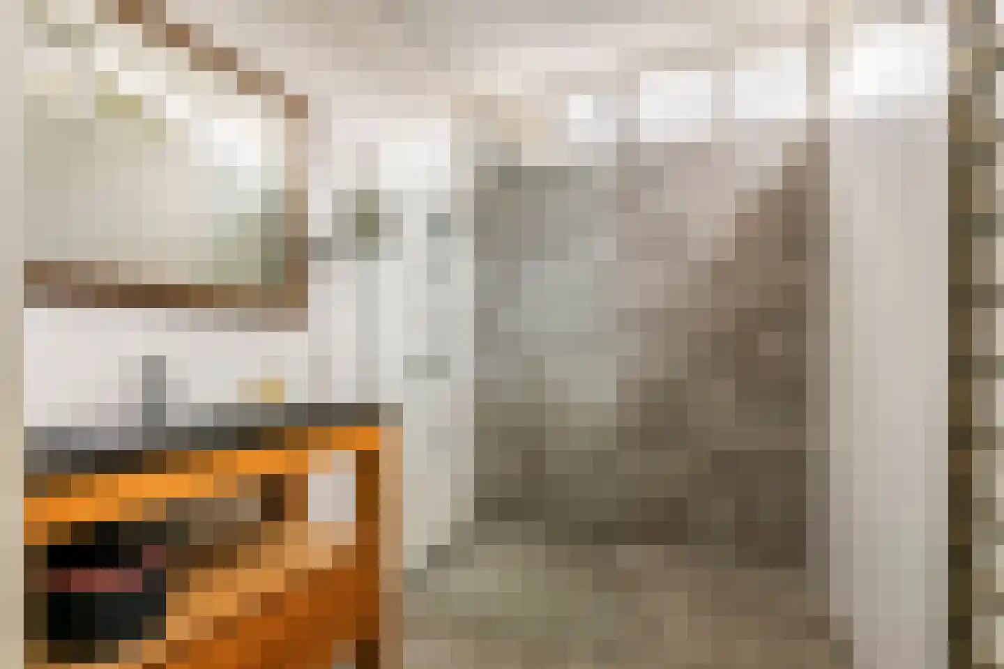 Het Voorburg 2 Culemborg thumbnail 38