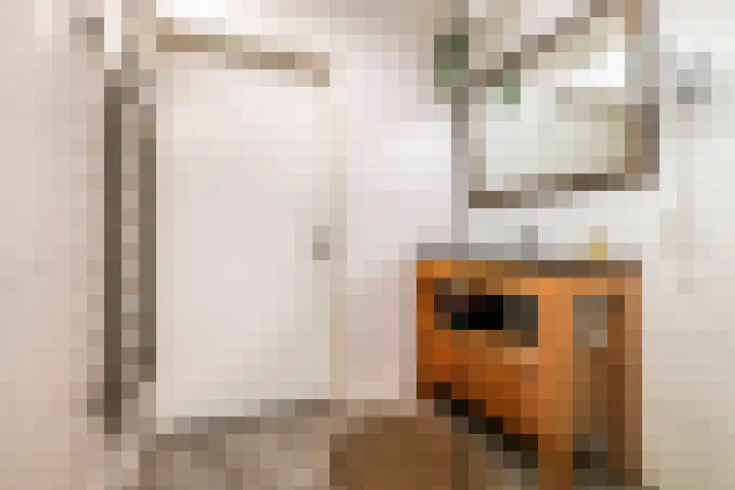 Het Voorburg 2 Culemborg thumbnail 39