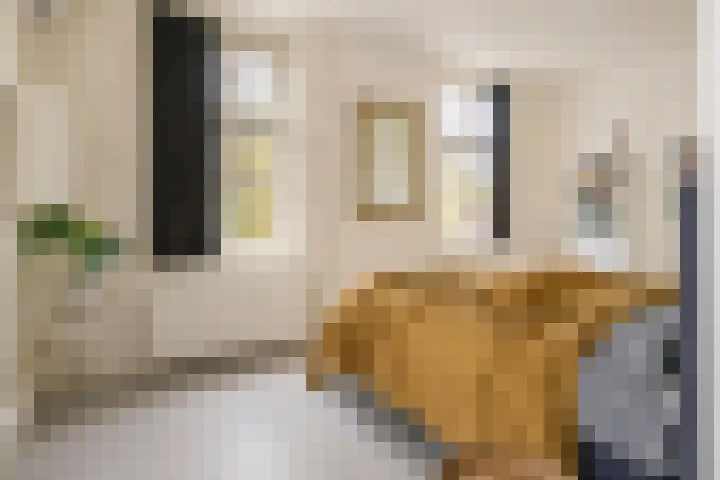 Het Voorburg 2 Culemborg thumbnail 41