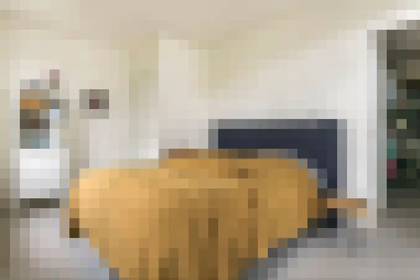 Het Voorburg 2 Culemborg thumbnail 43