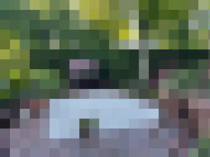 Het Voorburg 2 Culemborg thumbnail 55