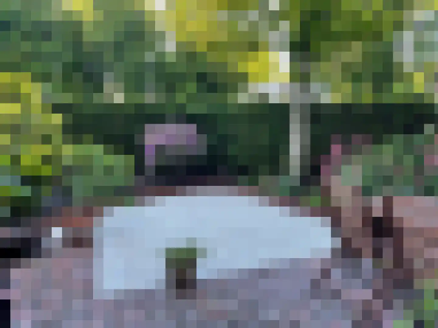 Het Voorburg 2 Culemborg thumbnail 55