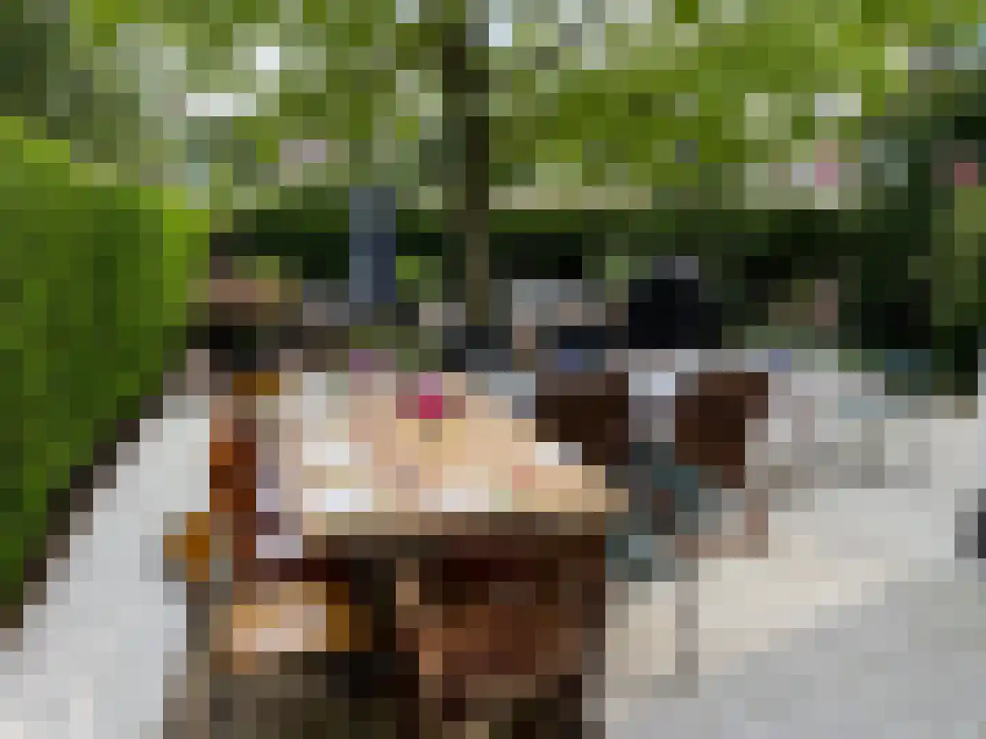 Het Voorburg 2 Culemborg thumbnail 57