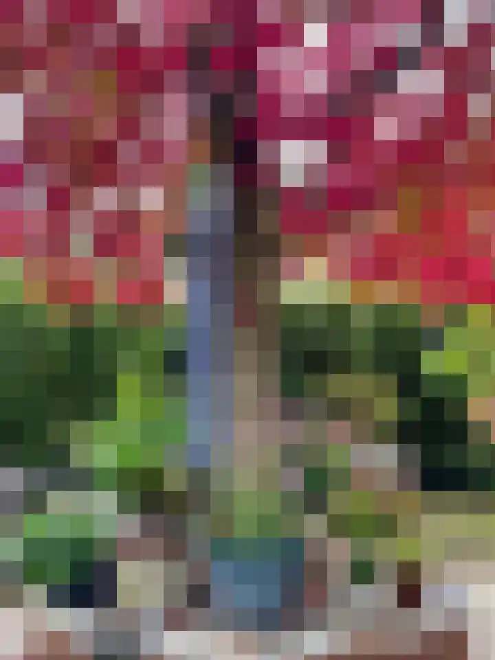Het Voorburg 2 Culemborg thumbnail 58