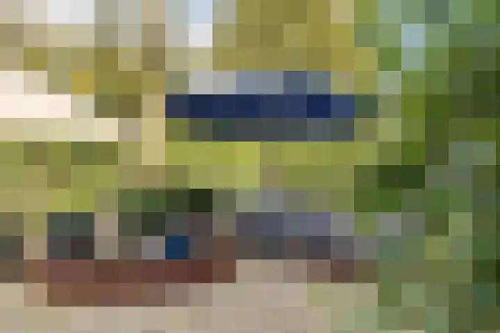 Het Voorburg 2 Culemborg thumbnail 59