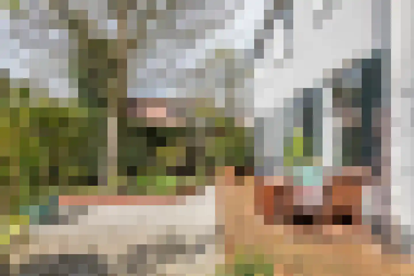Het Voorburg 2 Culemborg thumbnail 7