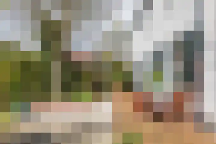 Het Voorburg 2 Culemborg thumbnail 7