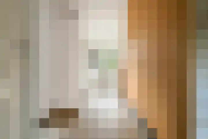 Het Voorburg 2 Culemborg thumbnail 8