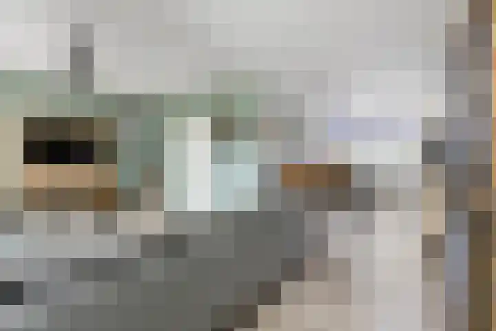 Het Voorste Streekje 3 Muntendam thumbnail 10