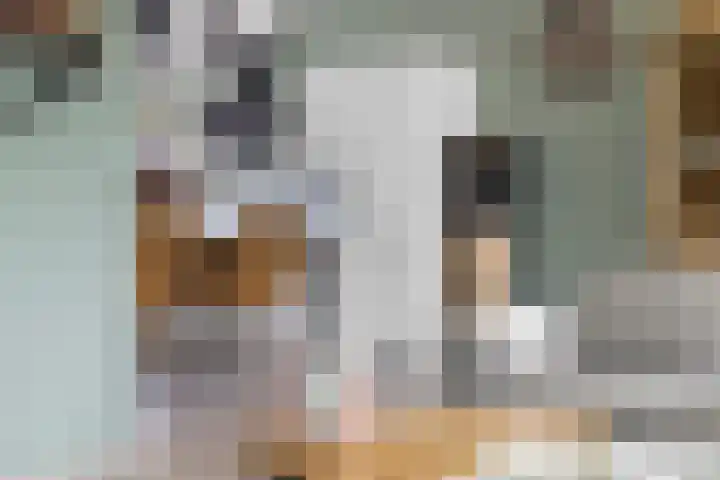 Het Voorste Streekje 3 Muntendam thumbnail 11