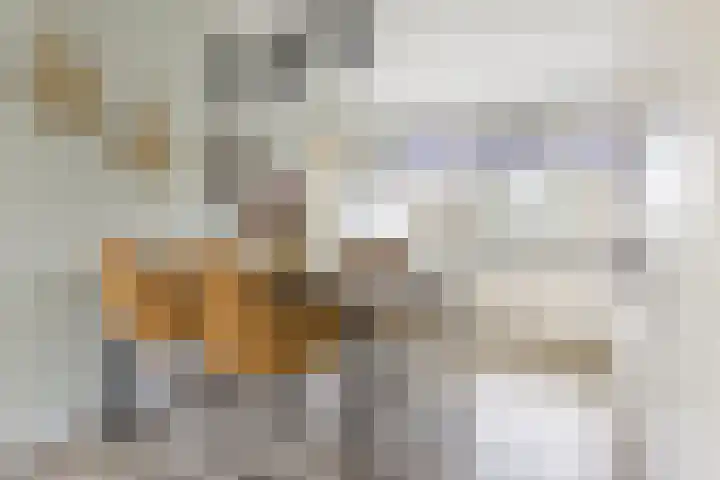 Het Voorste Streekje 3 Muntendam thumbnail 13