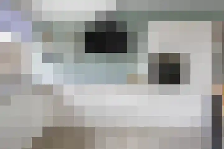 Het Voorste Streekje 3 Muntendam thumbnail 16