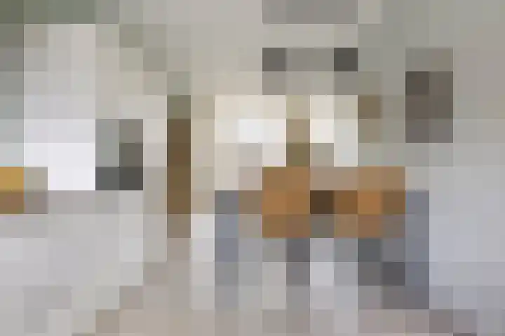 Het Voorste Streekje 3 Muntendam thumbnail 17