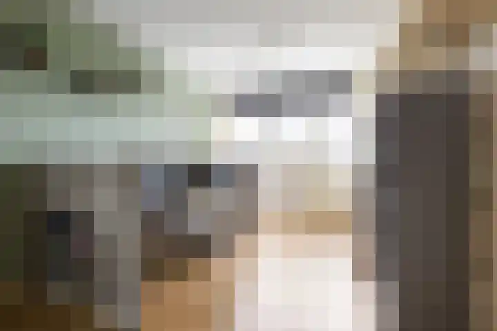 Het Voorste Streekje 3 Muntendam thumbnail 20