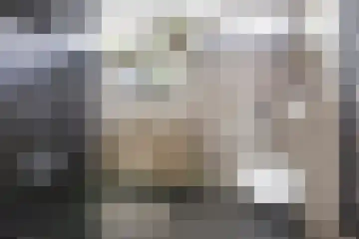 Het Voorste Streekje 3 Muntendam thumbnail 22