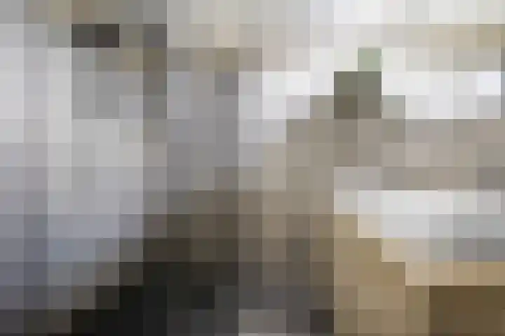 Het Voorste Streekje 3 Muntendam thumbnail 23