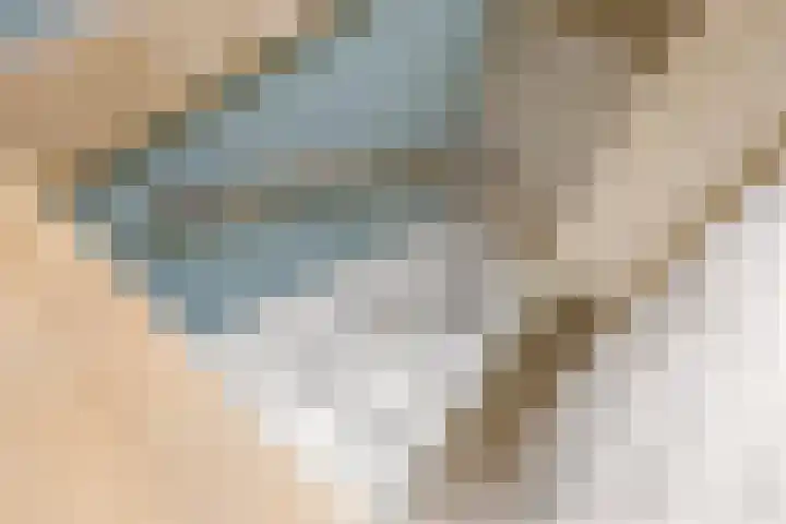Het Voorste Streekje 3 Muntendam thumbnail 26