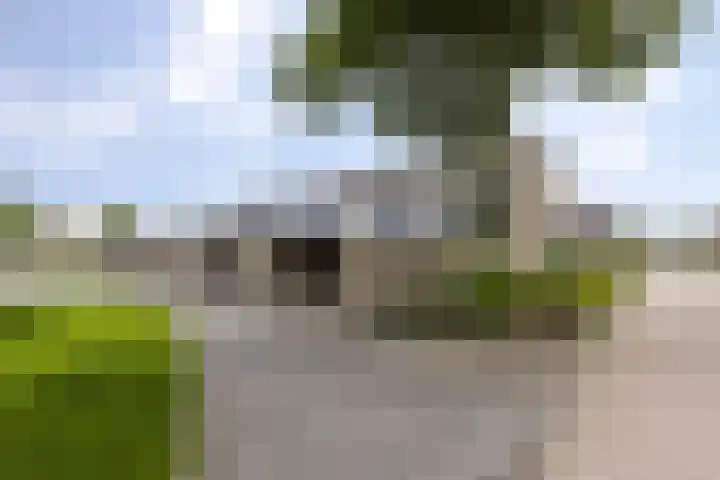 Het Voorste Streekje 3 Muntendam foto 3
